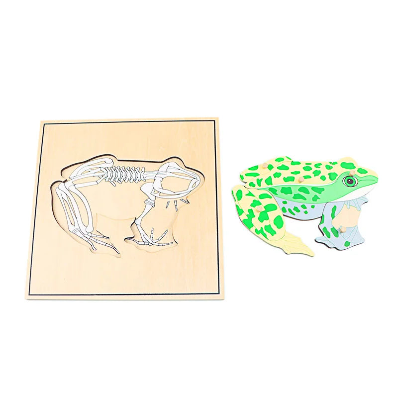 Wooden Animal Skeleton Puzzle