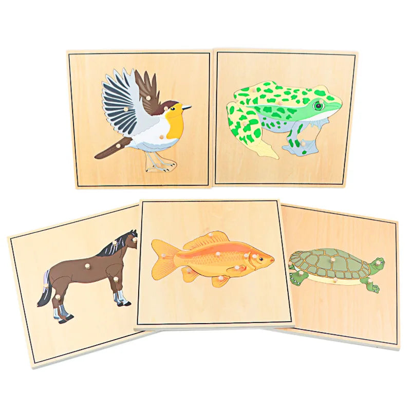 Wooden Animal Skeleton Puzzle