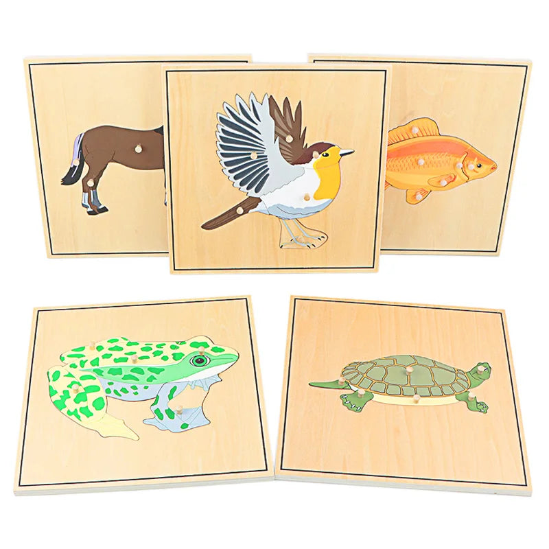 Wooden Animal Skeleton Puzzle
