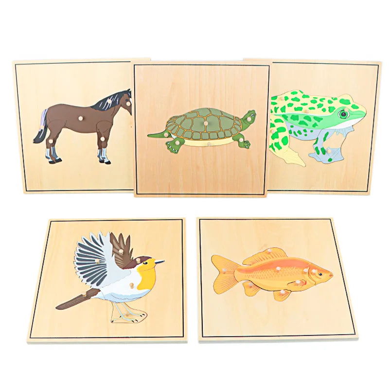 Wooden Animal Skeleton Puzzle