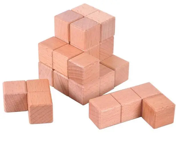 Classic Brain Teaser Puzzle Collection