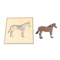 Wooden Animal Skeleton Puzzle