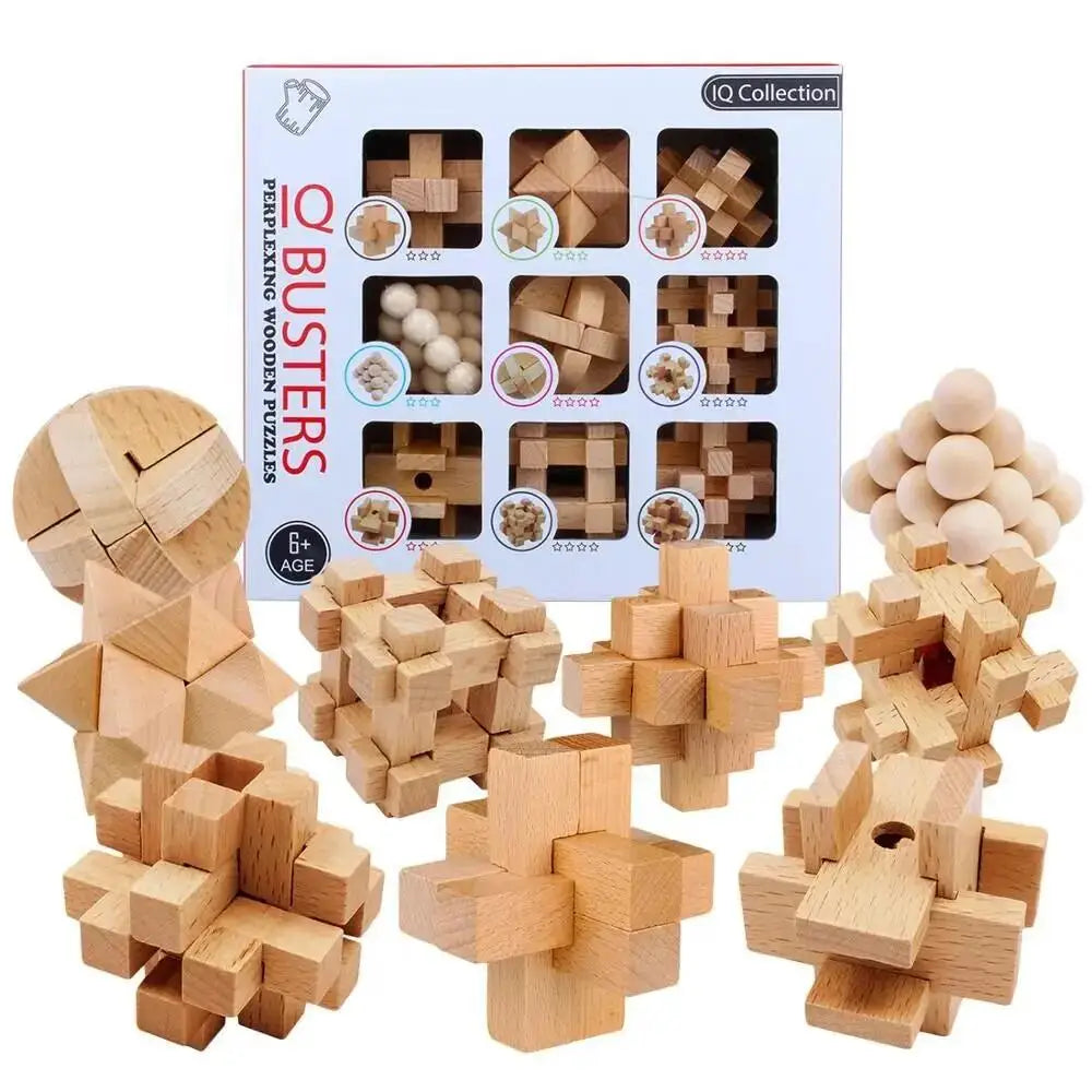 Classic Brain Teaser Puzzle Collection