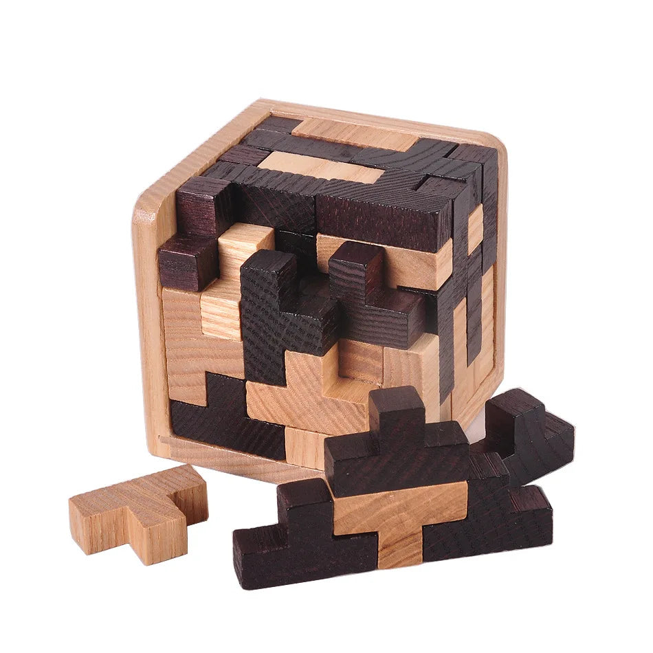 Classic Brain Teaser Puzzle Collection