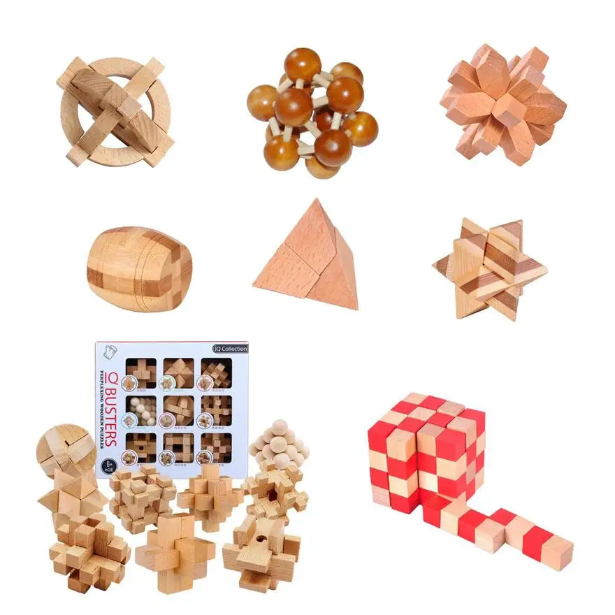 Classic Brain Teaser Puzzle Collection